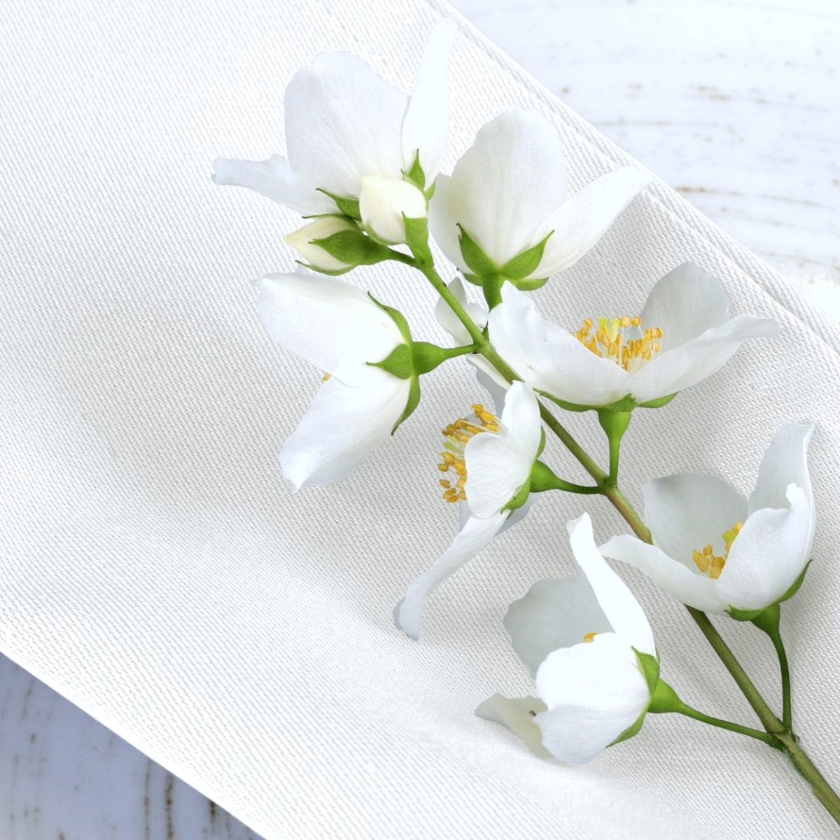 Serwetki Bankietowe Materiałowe Markus, Biały 01W