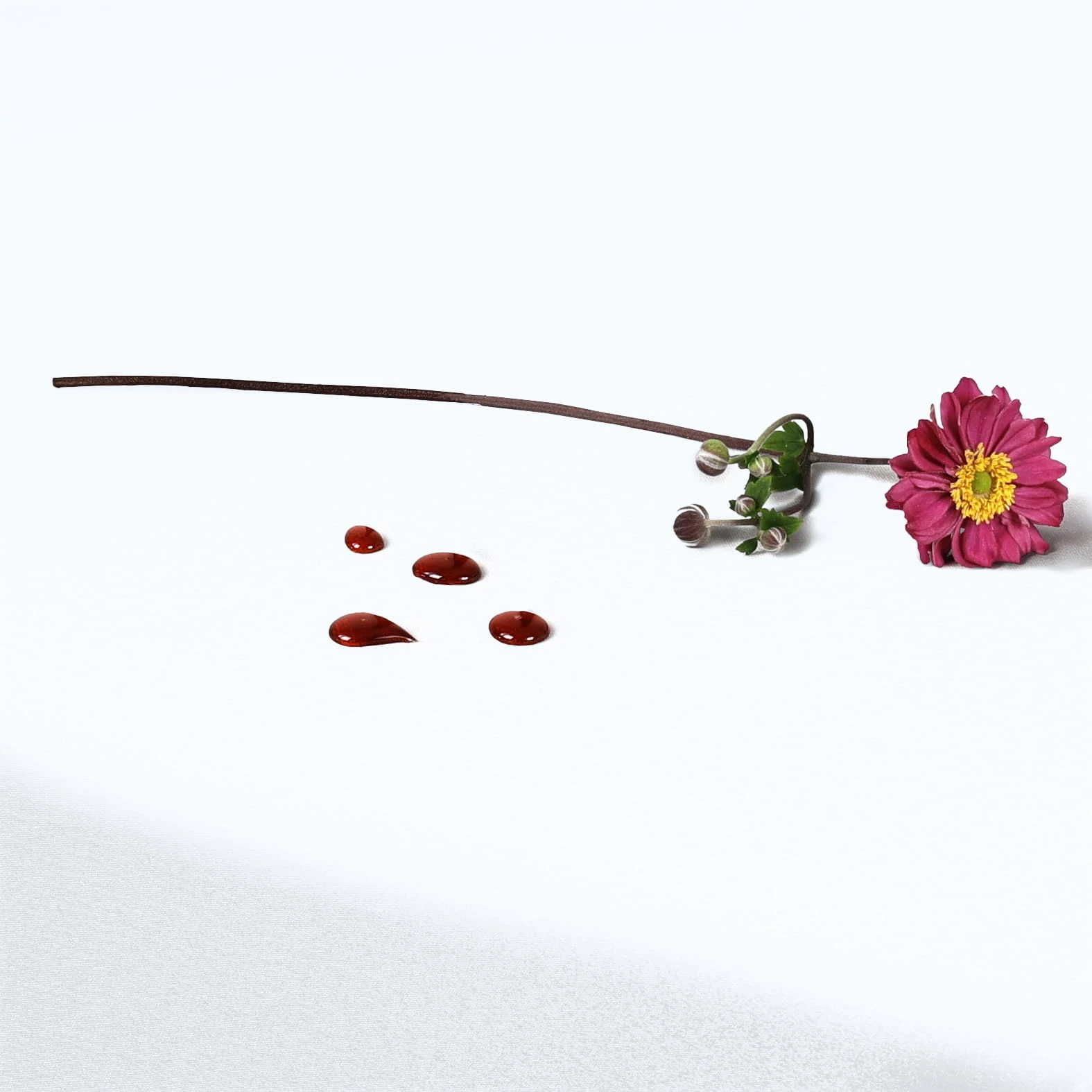 Elegancka Biała Serweta na Stół Szyta Kopertowo z Mankiet